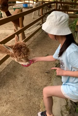チャプター添付画像
