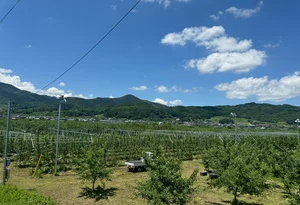 チャプター添付画像