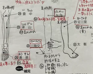 チャプター添付画像