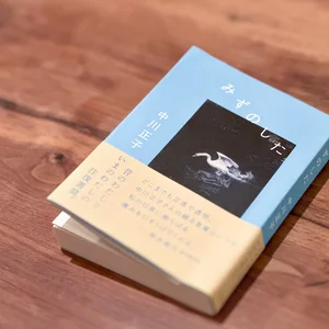 チャプター添付画像