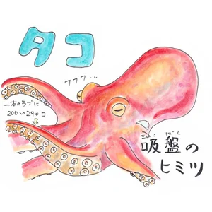 チャプター添付画像