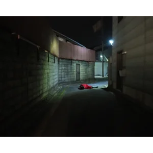 チャプター添付画像