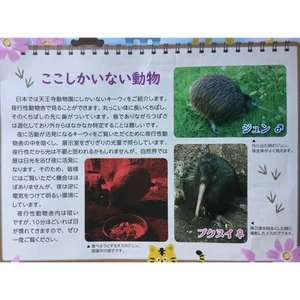 チャプター添付画像