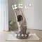 パーソナリティ画像