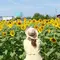 パーソナリティ画像